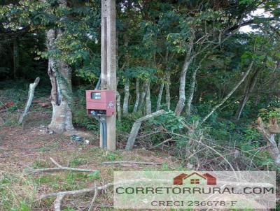 Terreno Comercial para Venda, em Ibina, bairro Paruru