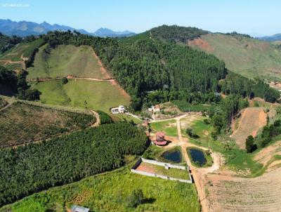 Lote para Venda, em Ervlia, bairro Zona rural