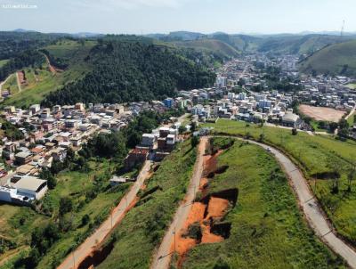 Lote para Venda, em Ervlia, bairro Paumerindo do Higino