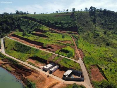 Lote para Venda, em Ervlia, bairro Recanto do Olavo