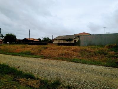 Terreno para Venda, em Balnerio Barra do Sul, bairro Centro