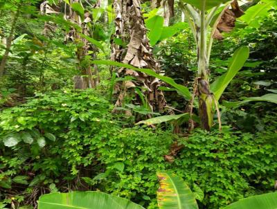 Terreno para Venda, em Niteri, bairro Engenho do Mato