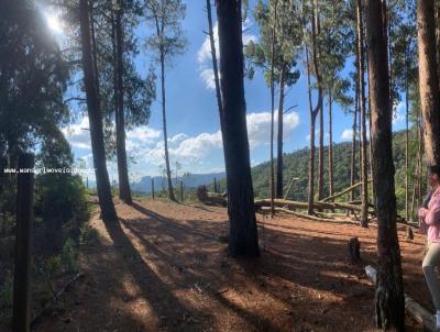 Terreno para Venda, em Campos do Jordo, bairro 