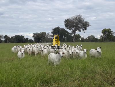 Fazenda para Venda, em Araguaiana, bairro Fazenda