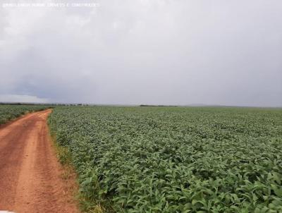 Fazenda para Venda, em Itacaj, bairro Centro