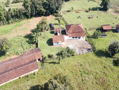 Stio para Venda, em Pouso Alegre, bairro Afonsos, 4 dormitrios, 2 banheiros