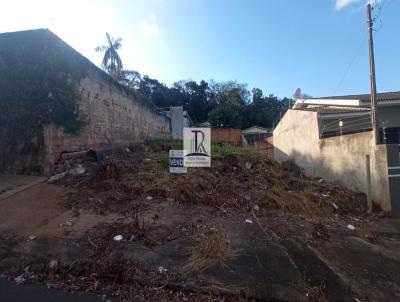 Terreno para Venda, em Apucarana, bairro Vila Andrea