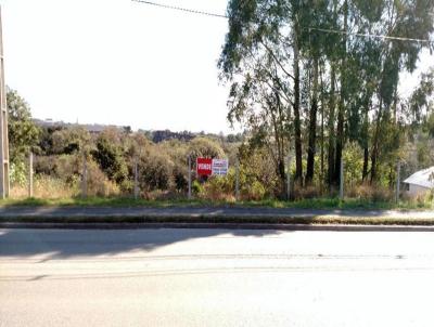 Terreno para Venda, em Curitiba, bairro Atuba