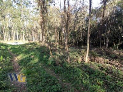 Chcara para Venda, em Campo Largo, bairro So Joo do Povinho