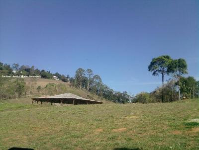 Terreno para Venda, em Franco da Rocha, bairro Zona Rural, 1 banheiro, 99 vagas