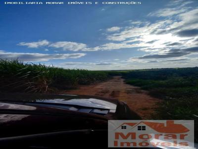 Fazenda para Venda, em Mogi Guau, bairro Centro