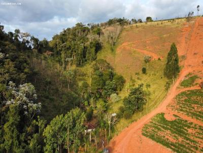 Stio para Venda, em Ervlia, bairro Zona rural