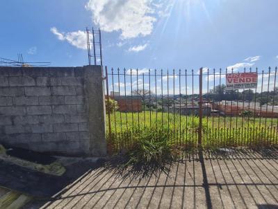 Terreno para Venda, em Itaquaquecetuba, bairro Jardim Horto do Ipê