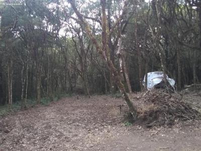 Chcara para Venda, em Piraquara, bairro Recreio da Serra