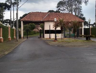 Terreno para Venda, em Piraquara, bairro Vila Fuck