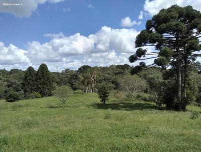 Chcara para Venda, em Piraquara, bairro Planta Meireles