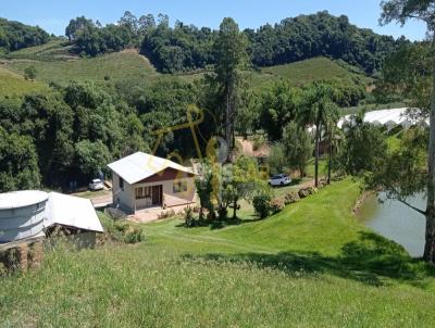 Stio para Venda, em Bento Gonalves, bairro VALE DOS VINHEDOS