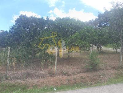 Terreno para Venda, em Bento Gonalves, bairro IMIGRANTE