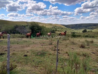 Fazenda para Venda, em Pinheiro Machado, bairro Bairro Brum
