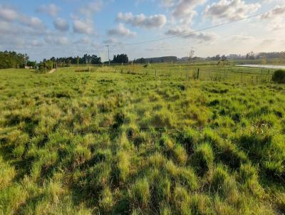 rea Rural para Venda, em Camaqu, bairro Galpes