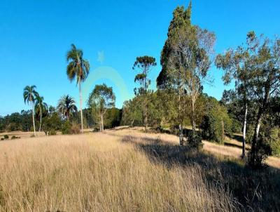 rea Rural para Venda, em Camaqu, bairro Galpes