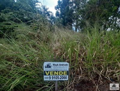 Terreno para Venda, em Sertaneja, bairro ESTNCIA RECANTO DOURADO