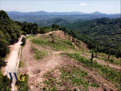 Chcara para Venda, em Campo Largo, bairro Itaqui de Cima