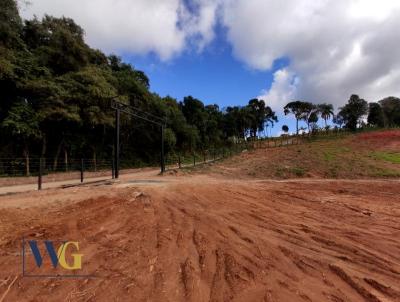 Chcara para Venda, em Campo Largo, bairro Itaqui de Cima