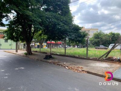 Terreno para Venda, em , bairro VILA GLORIA