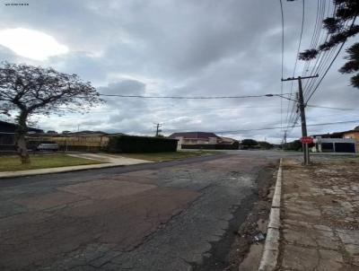 Terreno para Venda, em Curitiba, bairro Guara