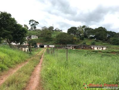Fazenda para Venda, em , bairro Ribeirão da Saia