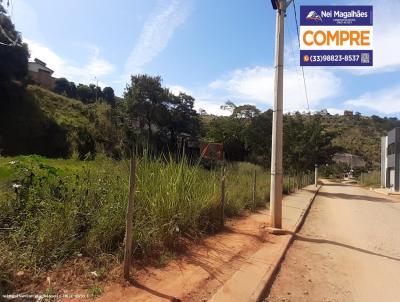 Terreno para Venda, em Tefilo Otoni, bairro Ipiranga