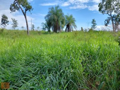 Stio / Chcara para Venda, em Guiratinga, bairro Rural