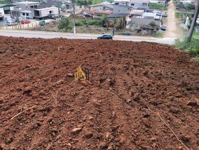 Terreno para Venda, em Itapema, bairro Morretes