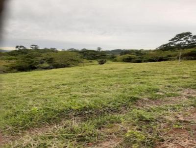 Terreno para Venda, em Imaru, bairro Centro