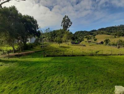 Terreno para Venda, em Imaru, bairro Ribeiro de Imaru