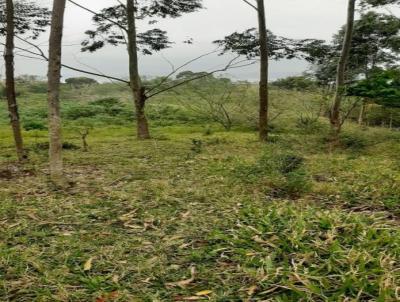 Terreno para Venda, em Imaru, bairro Fazenda Rio Das Garas