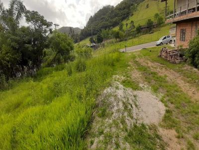 Terreno para Venda, em Imaru, bairro Taquarautuba