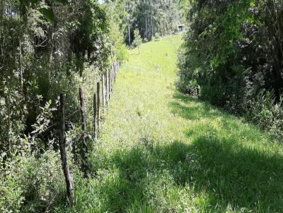 Terreno para Venda, em Imaru, bairro Imaru