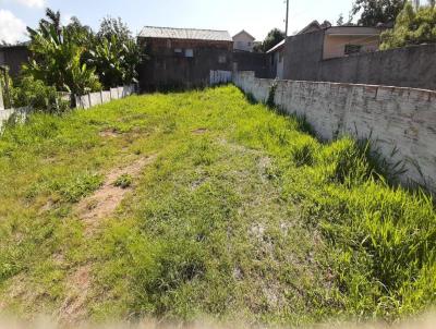 Terreno para Venda, em Imaru, bairro Imaru