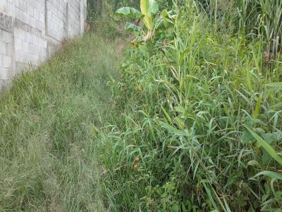 Terreno para Venda, em Imaru, bairro Prainha