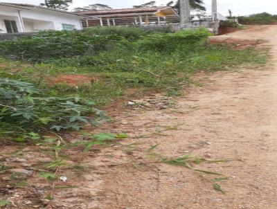 Terreno para Venda, em Imaru, bairro Centro