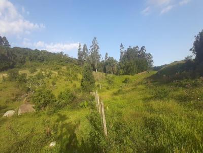 Terreno para Venda, em Imaru, bairro Taquarautuba