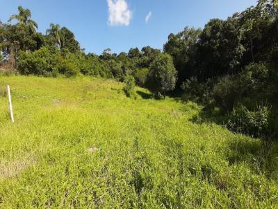 Terreno para Venda, em Imaru, bairro Taquarautuba