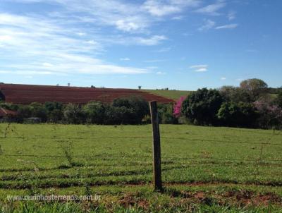Stio para Venda, em So Pedro do Turvo, bairro 