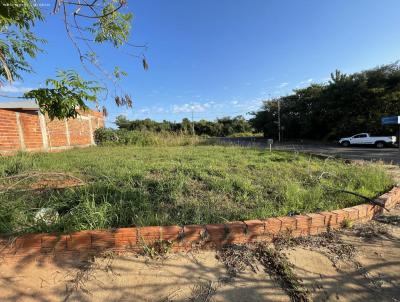 imagem-miniatura