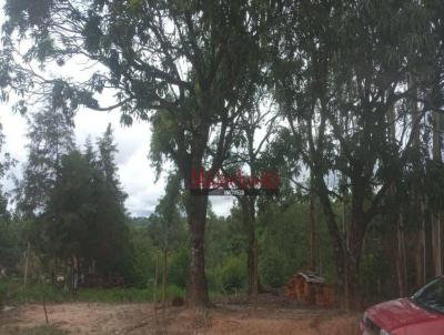 Terreno para Venda, em Itu, bairro Condomnio Terras De Santa Carolina