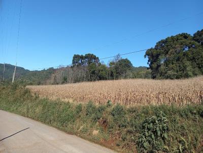 Stio / Chcara para Venda, em Santa Maria do Herval, bairro Padre Eterno Baixo