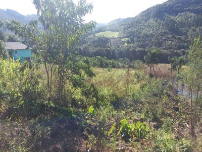 Terreno para Venda, em Santa Maria do Herval, bairro Amizade