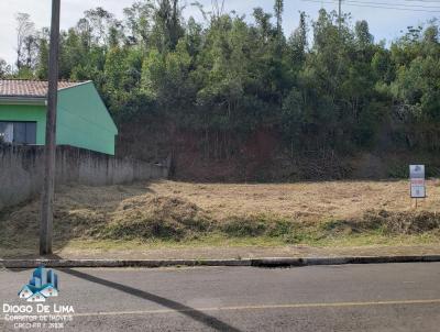 Imveis Vendidos para Venda, em Nova Laranjeiras, bairro 